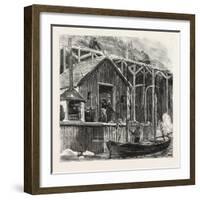 The Newfoundland Fisheries Question: British Fishing Room on the French Shore, Canada, 1890-null-Framed Giclee Print