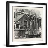 The Newfoundland Fisheries Question: British Fishing Room on the French Shore, Canada, 1890-null-Framed Giclee Print
