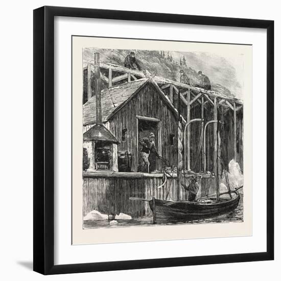 The Newfoundland Fisheries Question: British Fishing Room on the French Shore, Canada, 1890-null-Framed Giclee Print