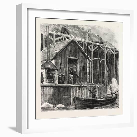 The Newfoundland Fisheries Question: British Fishing Room on the French Shore, Canada, 1890-null-Framed Giclee Print