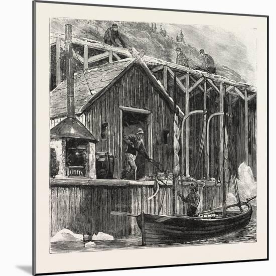 The Newfoundland Fisheries Question: British Fishing Room on the French Shore, Canada, 1890-null-Mounted Giclee Print