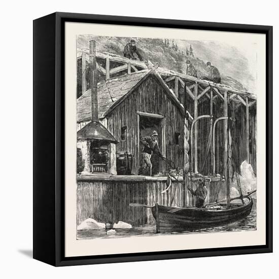 The Newfoundland Fisheries Question: British Fishing Room on the French Shore, Canada, 1890-null-Framed Stretched Canvas