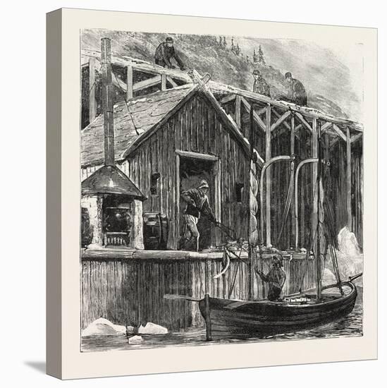 The Newfoundland Fisheries Question: British Fishing Room on the French Shore, Canada, 1890-null-Stretched Canvas