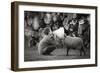 The News-Agatko-Framed Photographic Print