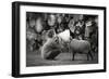 The News-Agatko-Framed Photographic Print