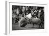 The News-Agatko-Framed Photographic Print