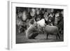 The News-Agatko-Framed Photographic Print