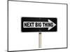 The Next Big Thing Oneway Sign-null-Mounted Art Print