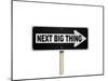 The Next Big Thing Oneway Sign-null-Mounted Art Print