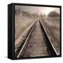 The Next Stop-Lori Deiter-Framed Stretched Canvas