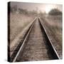 The Next Stop-Lori Deiter-Stretched Canvas