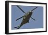 The Nh90 Helicopter Introduced in 2014 to the Belgian Army-null-Framed Photographic Print