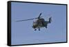 The Nh90 Helicopter Introduced in 2014 to the Belgian Army-null-Framed Stretched Canvas