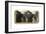 The Niagra Falls, from Prospect Point to Horseshoe Falls, Late 19th Century-null-Framed Giclee Print