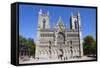 The Nidaros Cathedral, Trondheim, Sor-Trondelag, Norway, Scandinavia, Europe-Doug Pearson-Framed Stretched Canvas