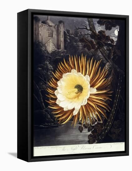 The Night Blowing Cereus, 1800-Philip Reinagle-Framed Stretched Canvas