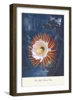 The Night-Blowing Cirius-null-Framed Art Print