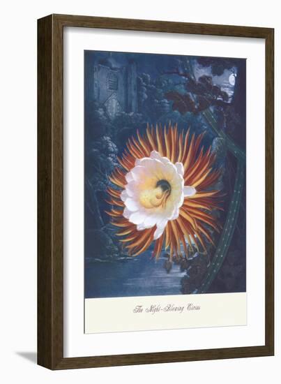 The Night-Blowing Cirius-null-Framed Art Print