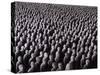 The Night Crowd, 2009-Evelyn Williams-Stretched Canvas