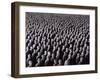 The Night Crowd, 2009-Evelyn Williams-Framed Giclee Print