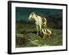 The Night Hawk-Frank Tenney Johnson-Framed Giclee Print