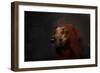 The Night-Watchman-Heike Willers-Framed Giclee Print