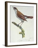 The Nightingale of France, C.1830-Paul Louis Oudart-Framed Giclee Print