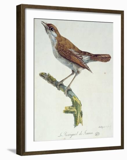 The Nightingale of France, C.1830-Paul Louis Oudart-Framed Giclee Print