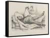The Nightmare, Man with a Peach on His Stomach-Honore Daumier-Framed Stretched Canvas