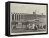 The Nile Barrage-null-Framed Stretched Canvas