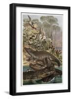 The Nile Crocodile by Alfred Edmund Brehm-Stefano Bianchetti-Framed Giclee Print