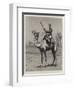 The Nile Expedition, a Sergeant of the Camel Corps-null-Framed Premium Giclee Print