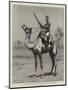 The Nile Expedition, a Sergeant of the Camel Corps-null-Mounted Premium Giclee Print