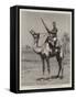The Nile Expedition, a Sergeant of the Camel Corps-null-Framed Stretched Canvas