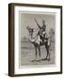 The Nile Expedition, a Sergeant of the Camel Corps-null-Framed Giclee Print