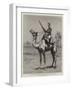 The Nile Expedition, a Sergeant of the Camel Corps-null-Framed Giclee Print