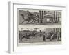 The Nile Expedition for the Relief of General Gordon, Camp Life at Assouan-null-Framed Giclee Print