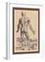 The Ninth Plate of the Muscles-Andreas Vesalius-Framed Art Print