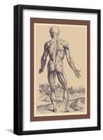 The Ninth Plate of the Muscles-Andreas Vesalius-Framed Art Print