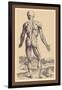 The Ninth Plate of the Muscles-Andreas Vesalius-Framed Art Print