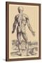 The Ninth Plate of the Muscles-Andreas Vesalius-Stretched Canvas