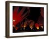 The Nite Glow at the Annual Walla Walla Hot Air Balloon Stampede, Washington, USA-William Sutton-Framed Photographic Print