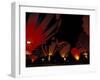 The Nite Glow at the Annual Walla Walla Hot Air Balloon Stampede, Washington, USA-William Sutton-Framed Photographic Print