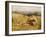 The Noonday Rest-John Linnell-Framed Giclee Print