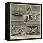 The Nordenskjold Greenland Expedition-null-Framed Stretched Canvas