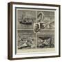 The Nordenskjold Greenland Expedition-null-Framed Giclee Print