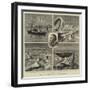 The Nordenskjold Greenland Expedition-null-Framed Giclee Print