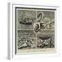 The Nordenskjold Greenland Expedition-null-Framed Giclee Print