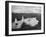 The Norfolk Broads-null-Framed Photographic Print