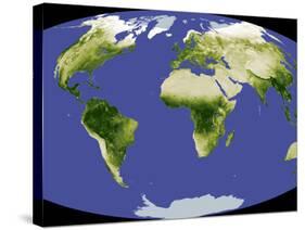 The Normalized Difference Vegetation Index-Stocktrek Images-Stretched Canvas